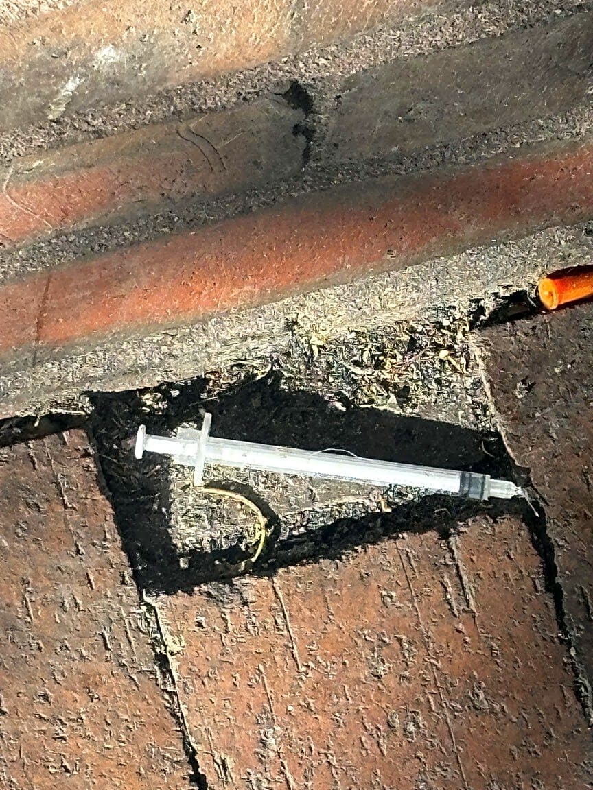 Image submitted with report