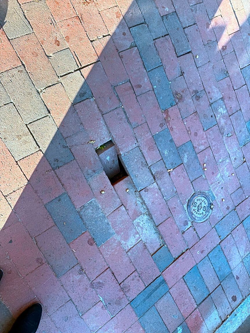 Image submitted with report