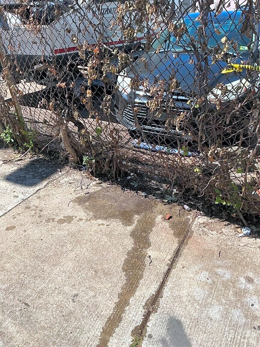 Image submitted with report
