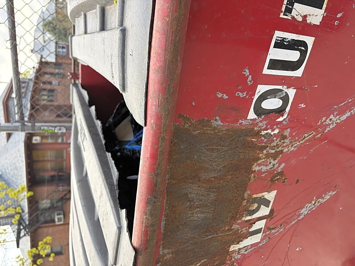 Image submitted with report