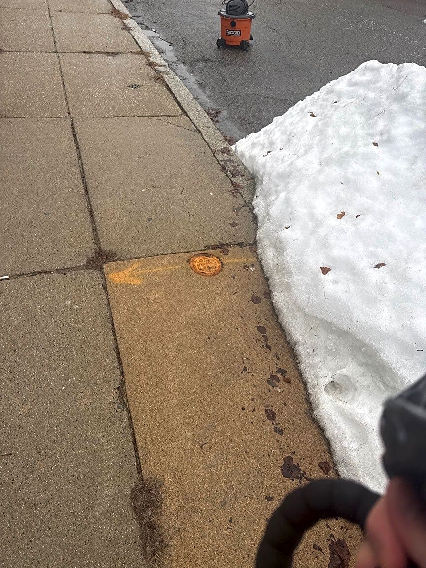 Image submitted with report