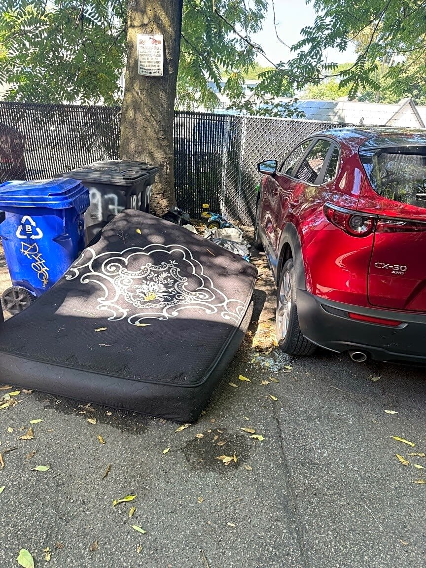 Image submitted with report