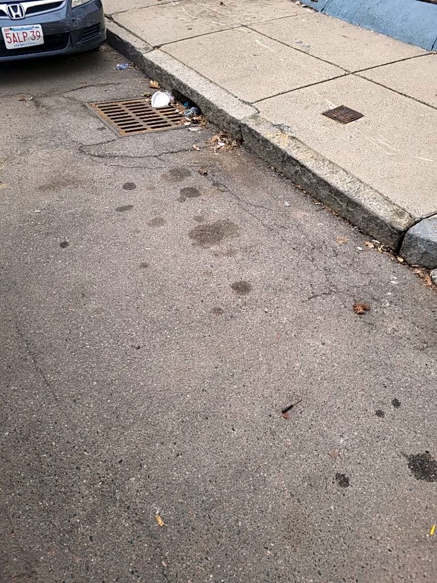 Image submitted with report