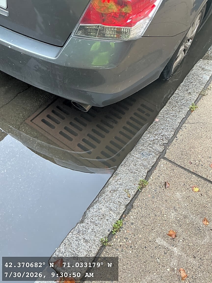 Image submitted with report