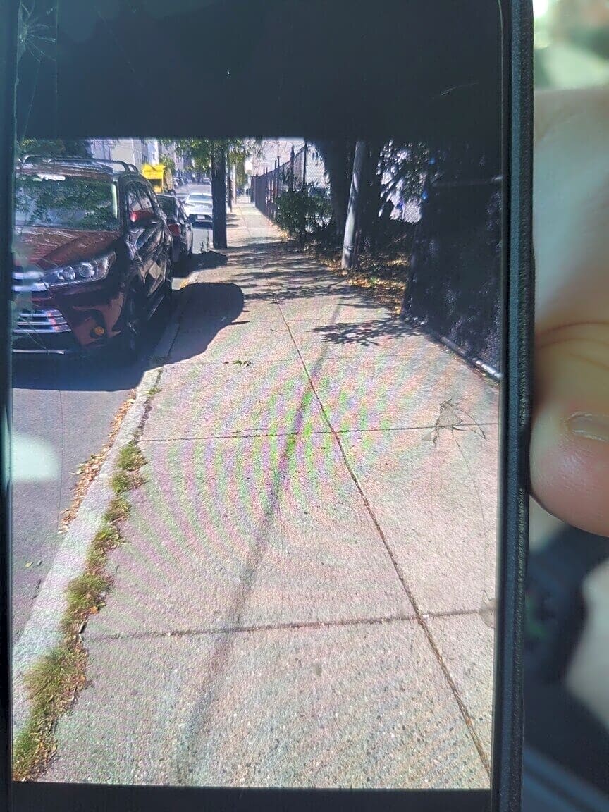 Image submitted with report
