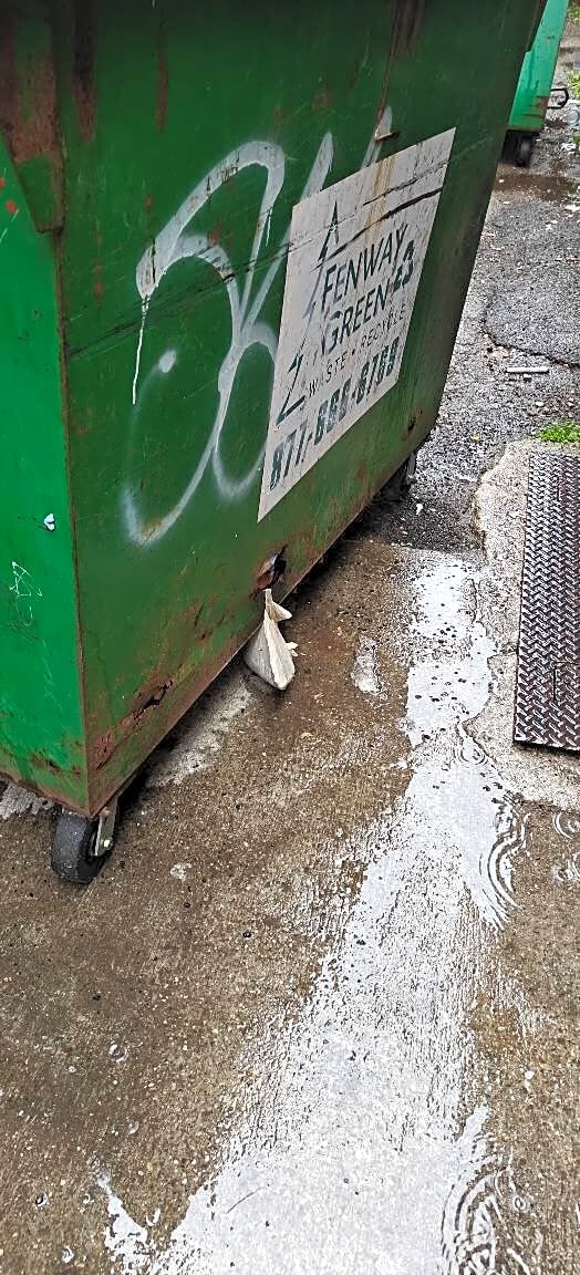 Image submitted with report