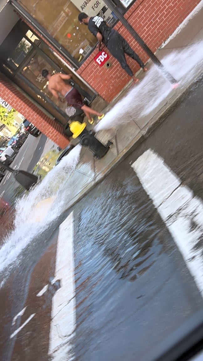Image submitted with report