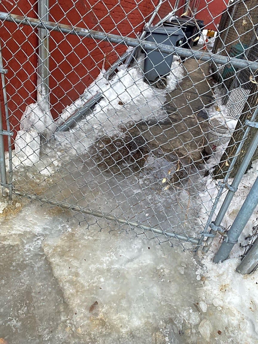 Image submitted with report