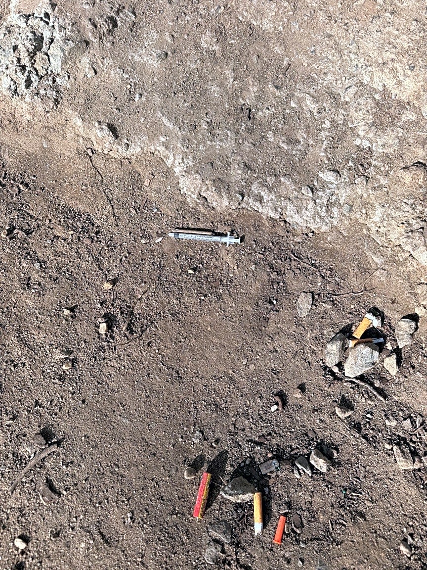 Image submitted with report