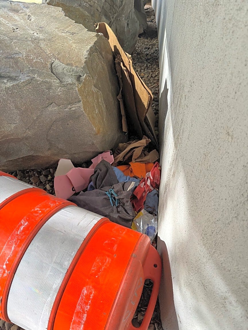 Image submitted with report
