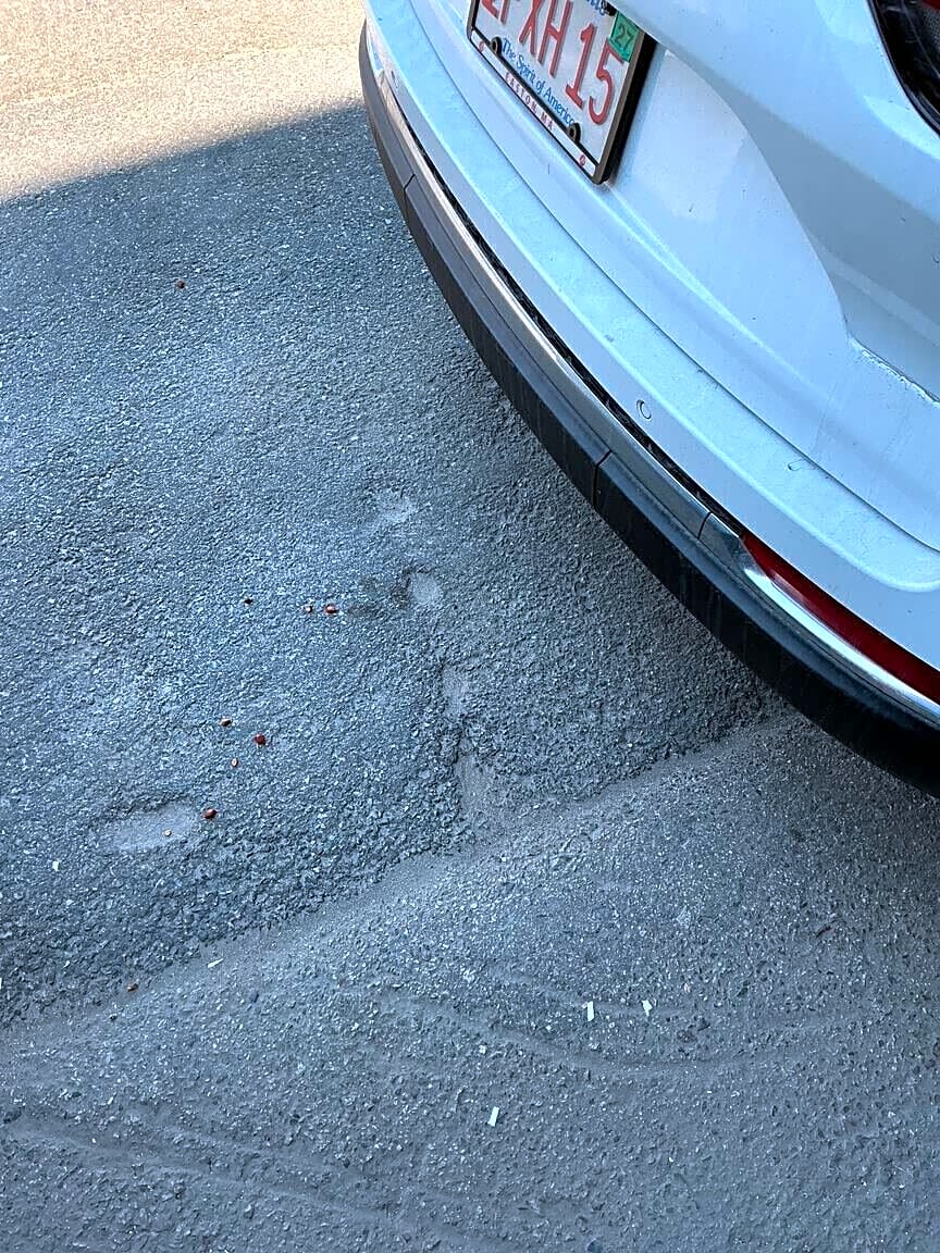 Image submitted with report