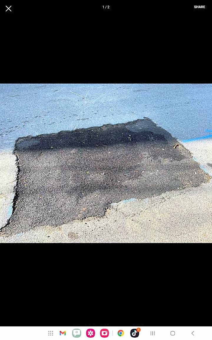 Image submitted with report