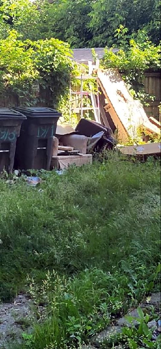Image submitted with report