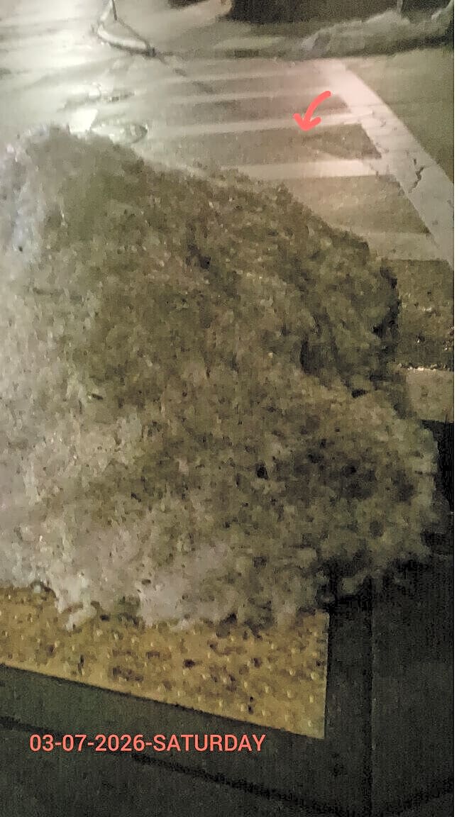 Image submitted with report