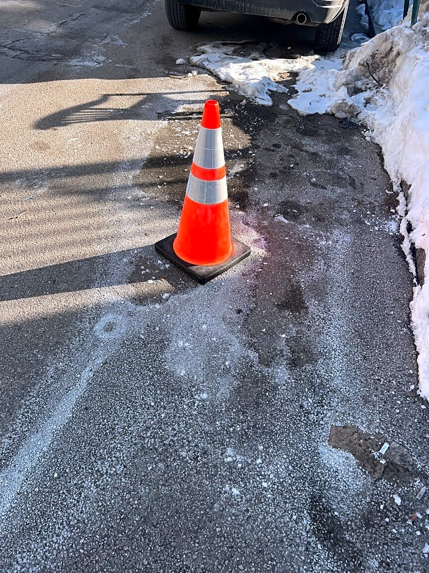 Image submitted with report