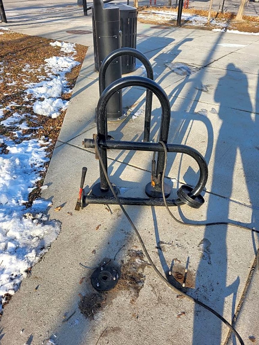 Image submitted with report