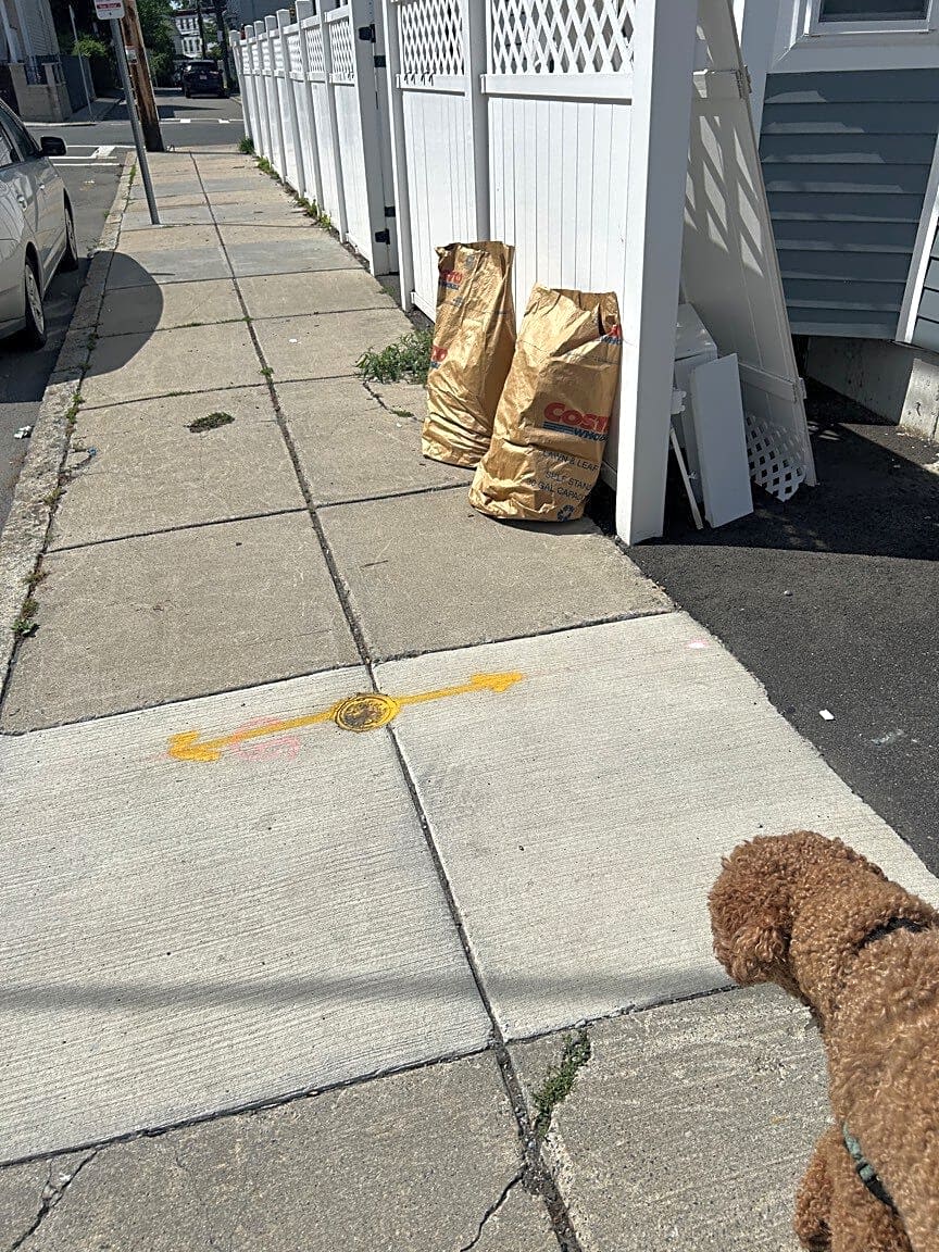 Image submitted with report