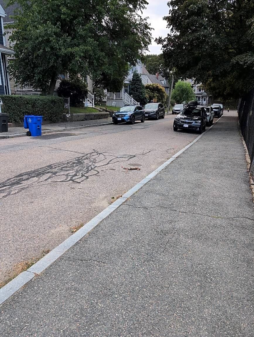 Image submitted with report