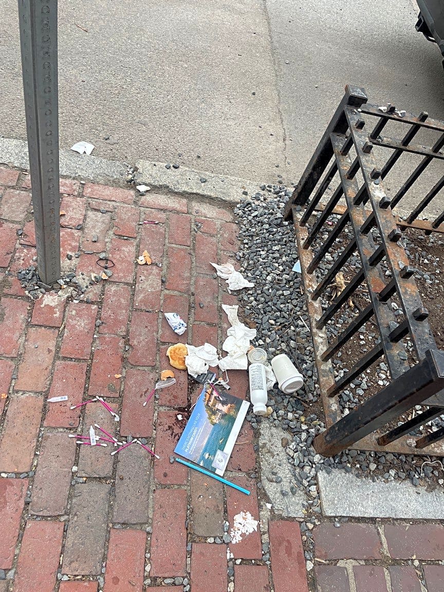 Image submitted with report