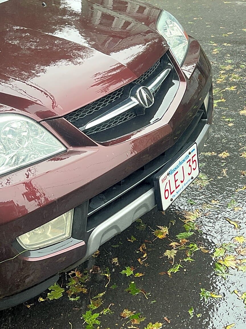Image submitted with report