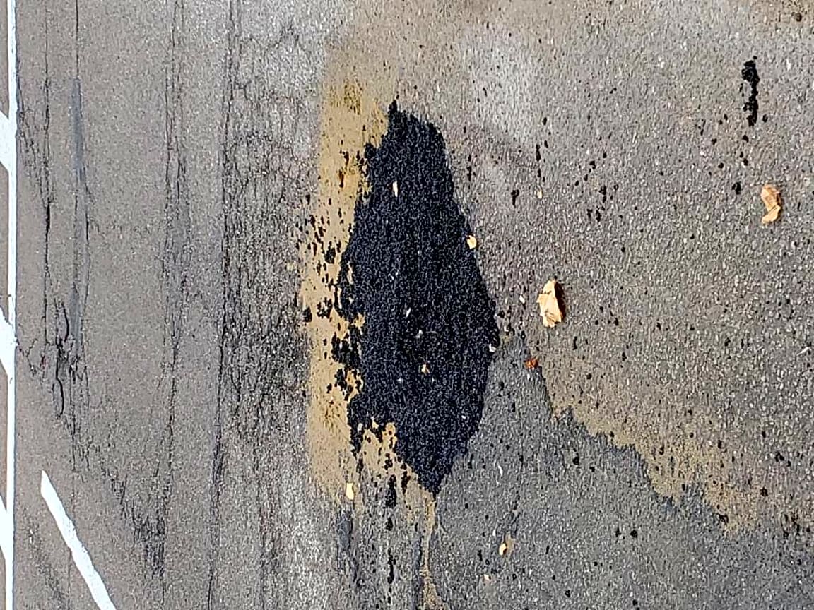 Image submitted with report