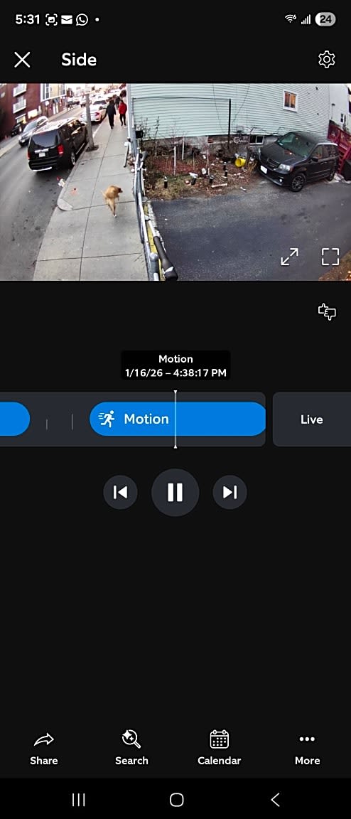 Image submitted with report