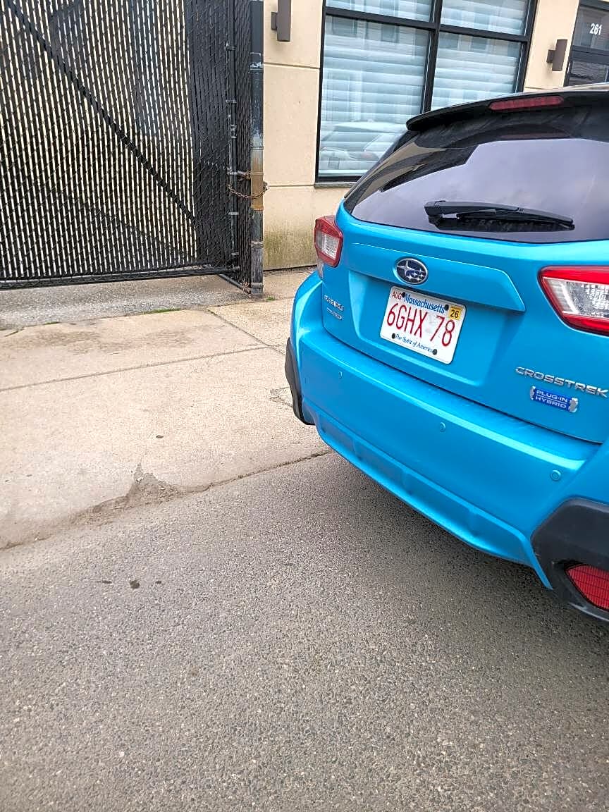 Image submitted with report