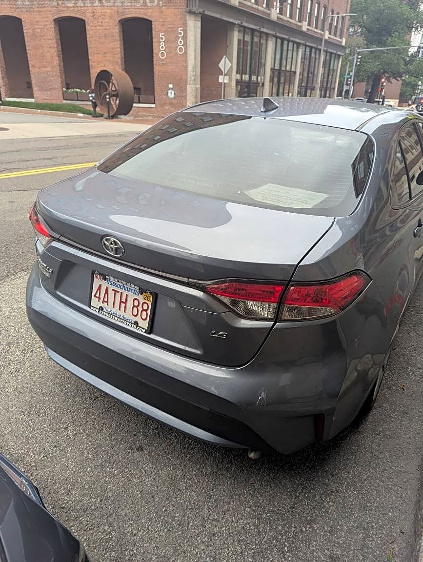 Image submitted with report
