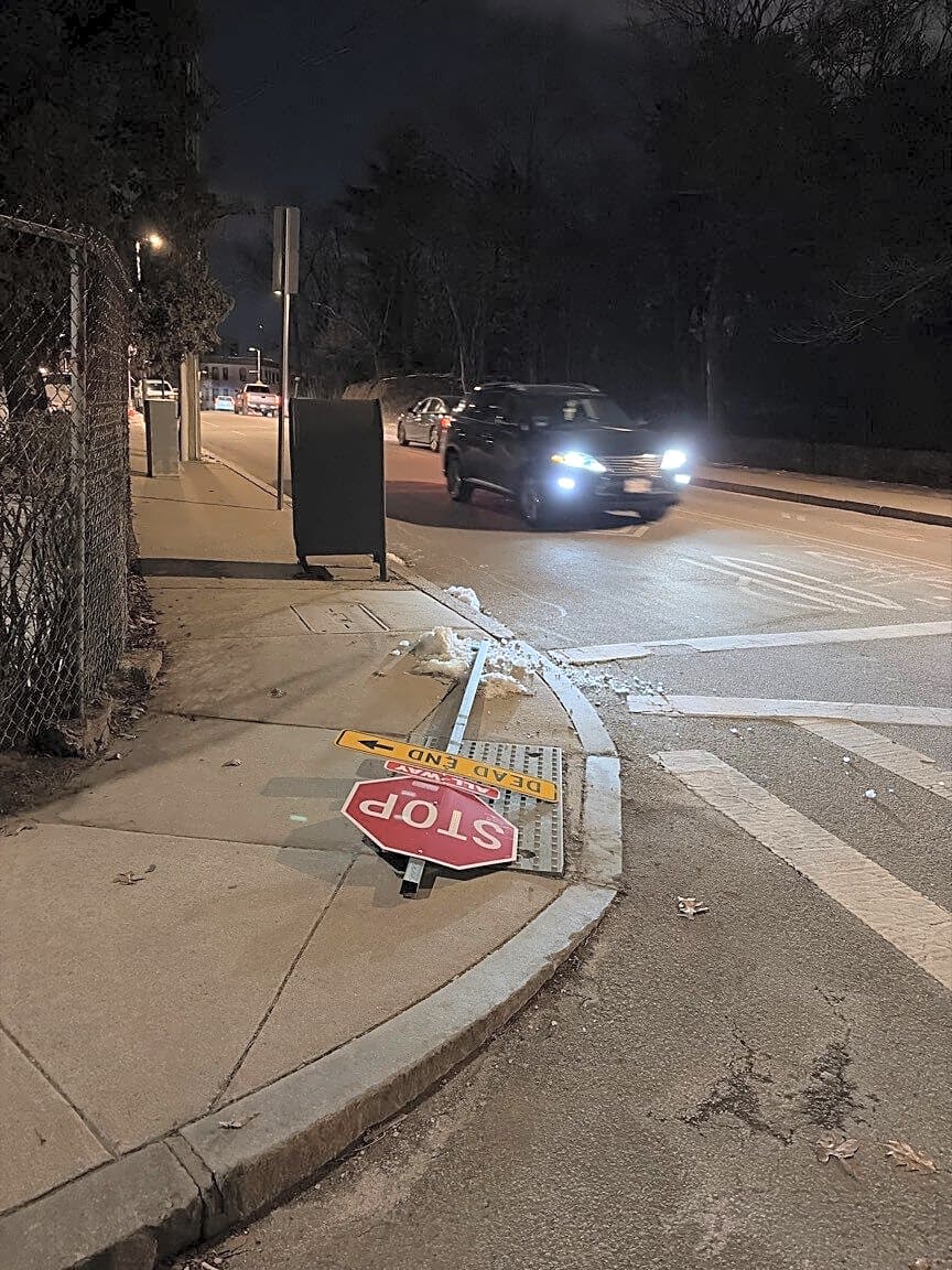 Image submitted with report