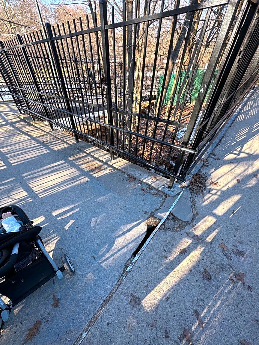 Image submitted with report