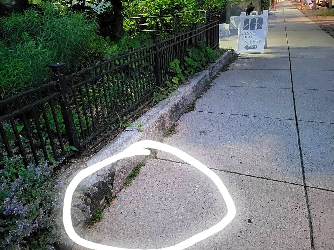 Image submitted with report