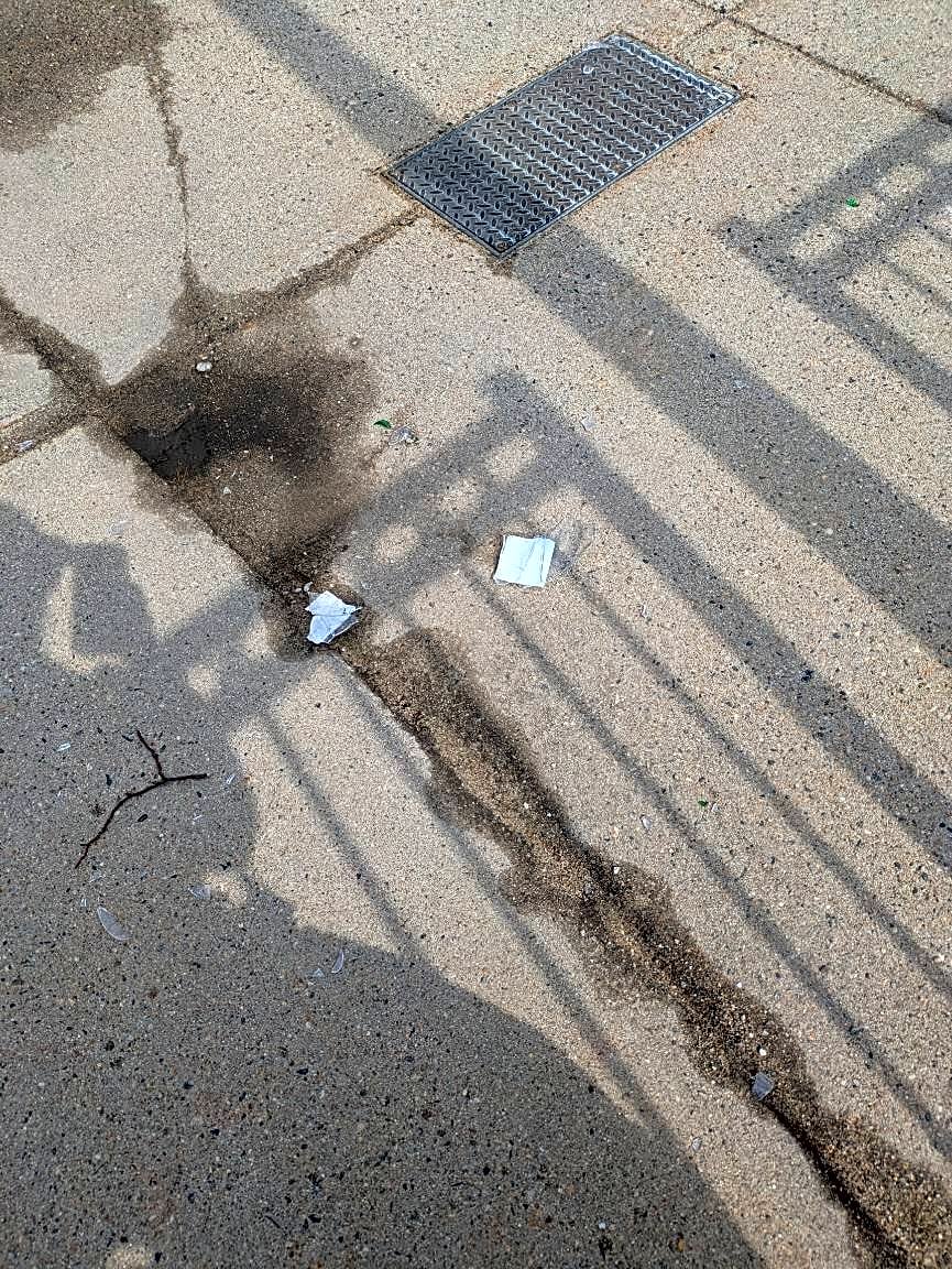 Image submitted with report