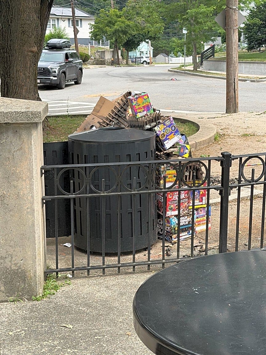 Image submitted with report