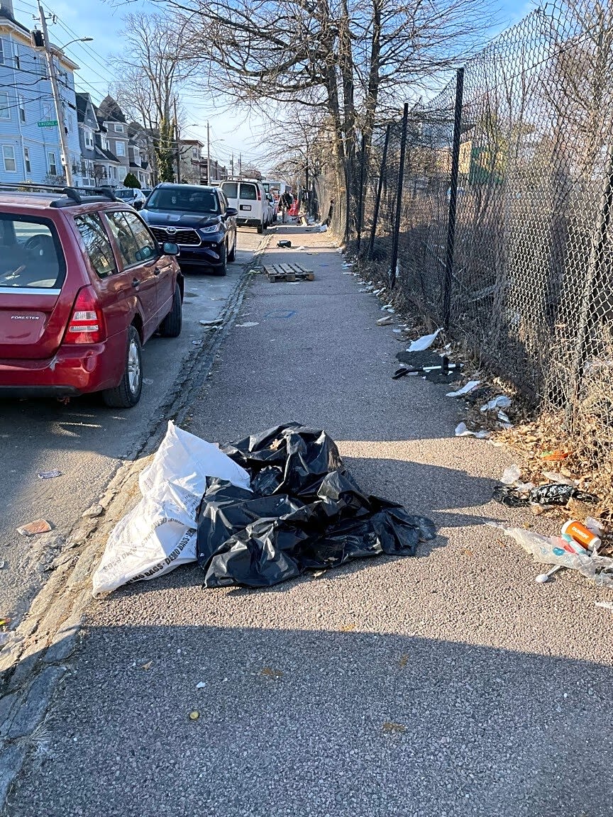 Image submitted with report