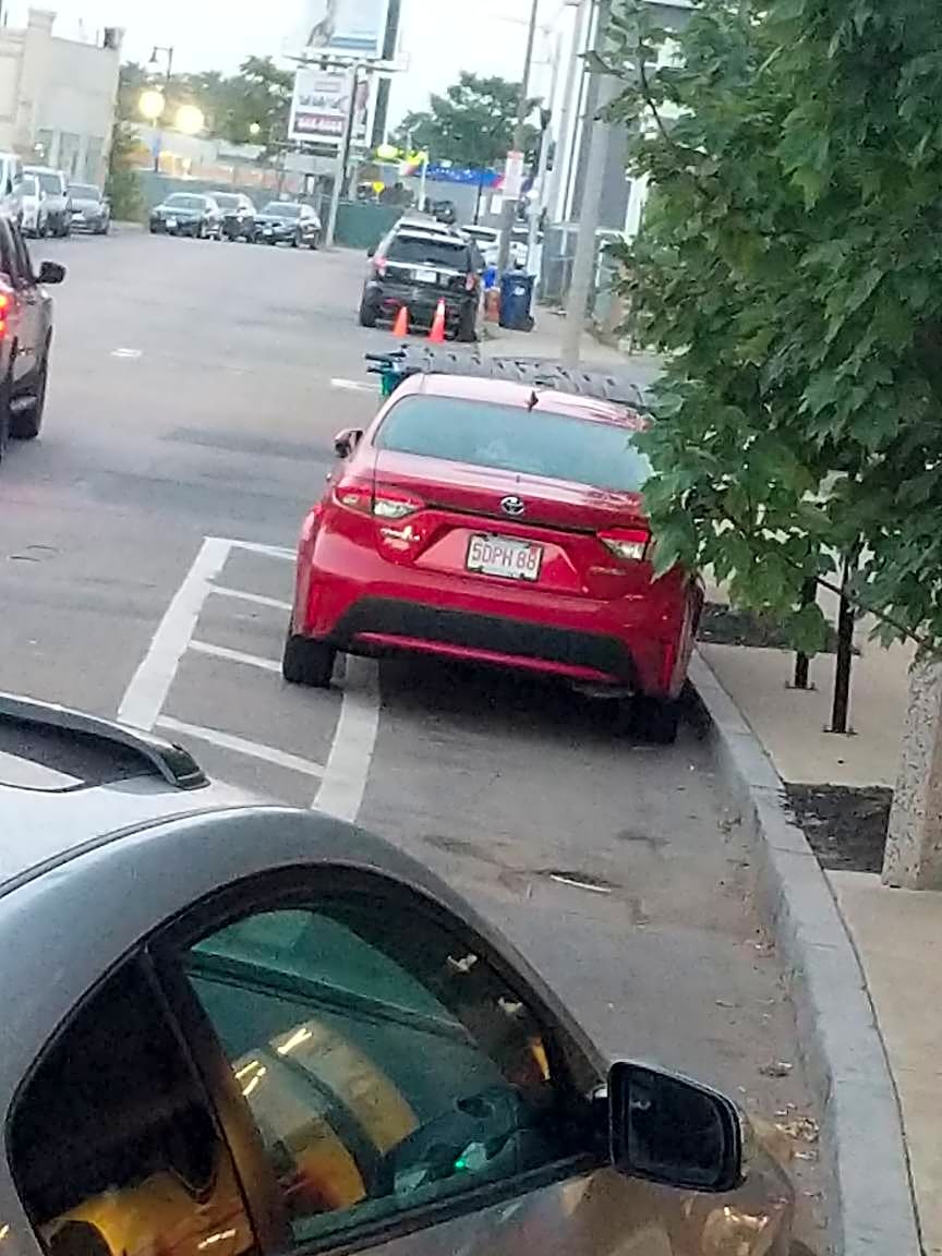 Image submitted with report