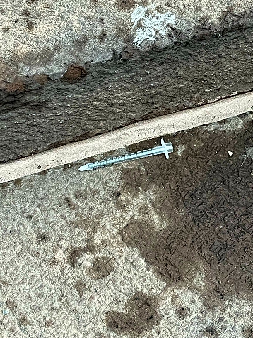 Image submitted with report