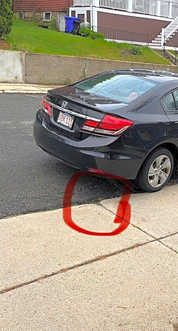 Image submitted with report