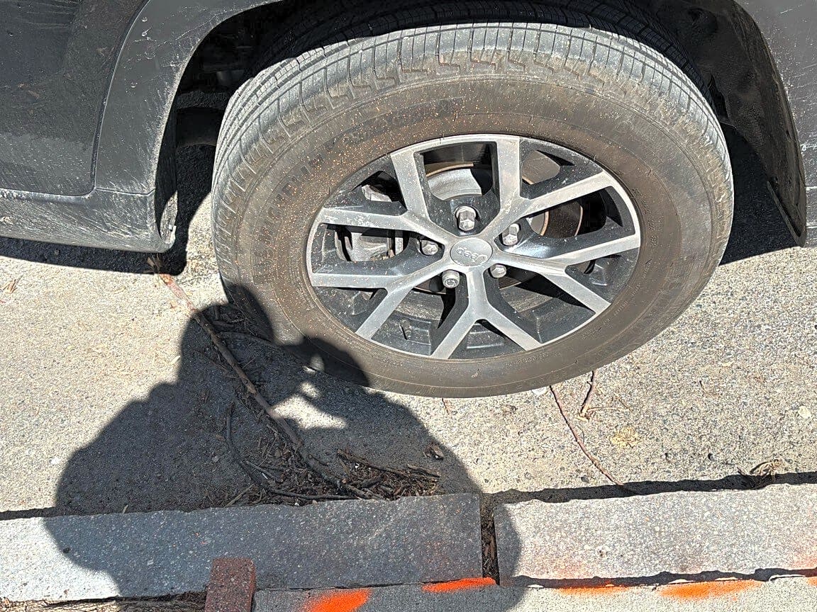 Image submitted with report