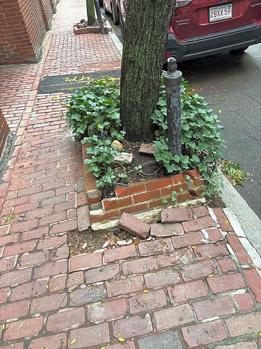 Image submitted with report