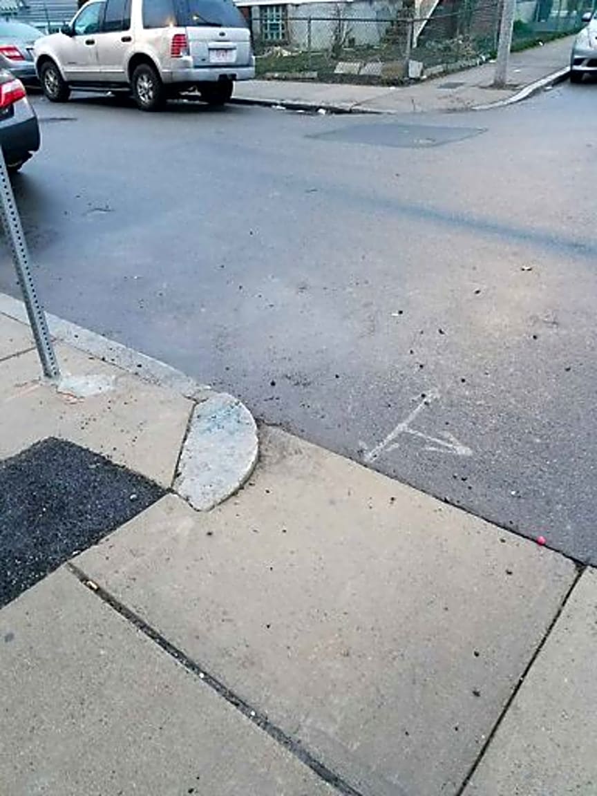 Image submitted with report