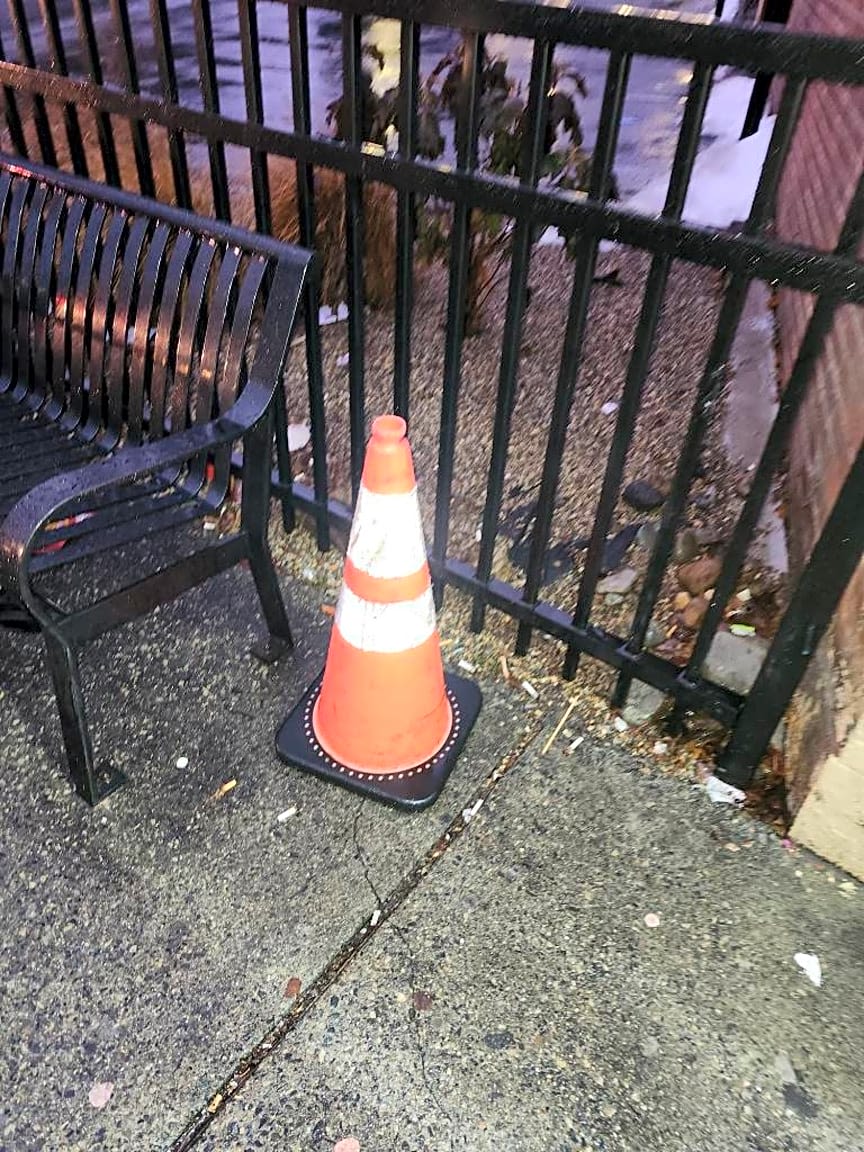 Image submitted with report