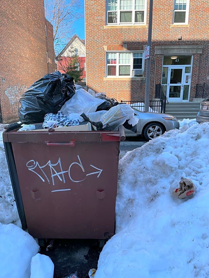 Image submitted with report