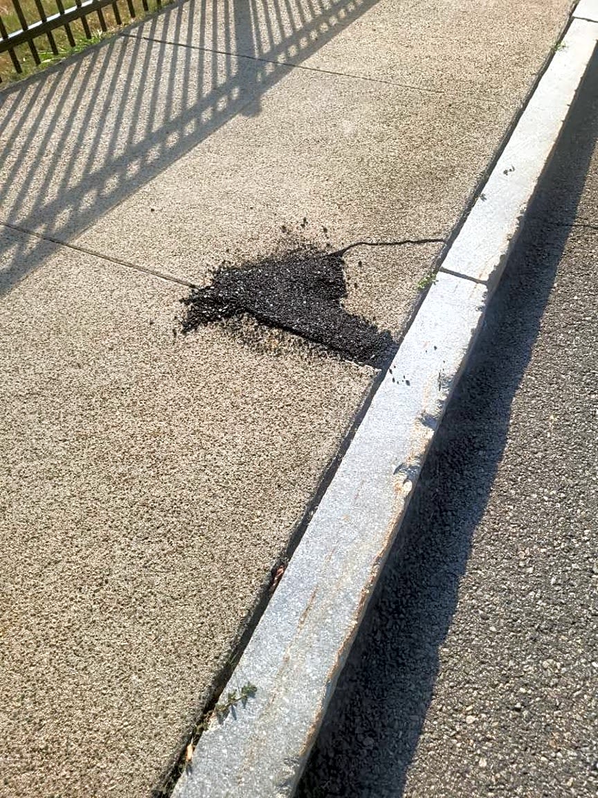 Image submitted with report