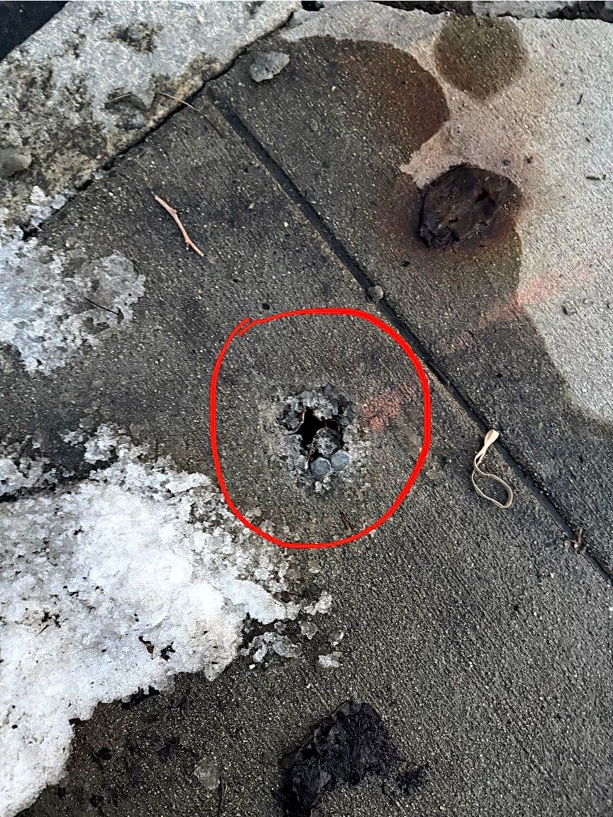 Image submitted with report