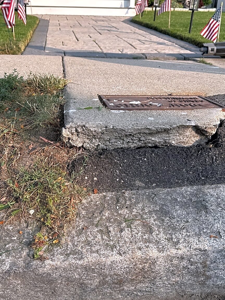 Image submitted with report
