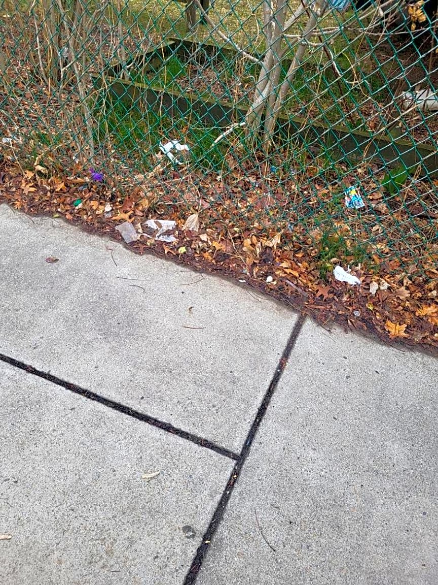 Image submitted with report