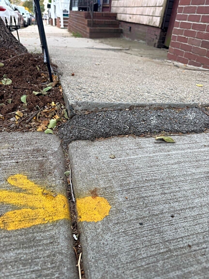 Image submitted with report