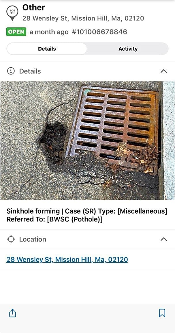 Image submitted with report