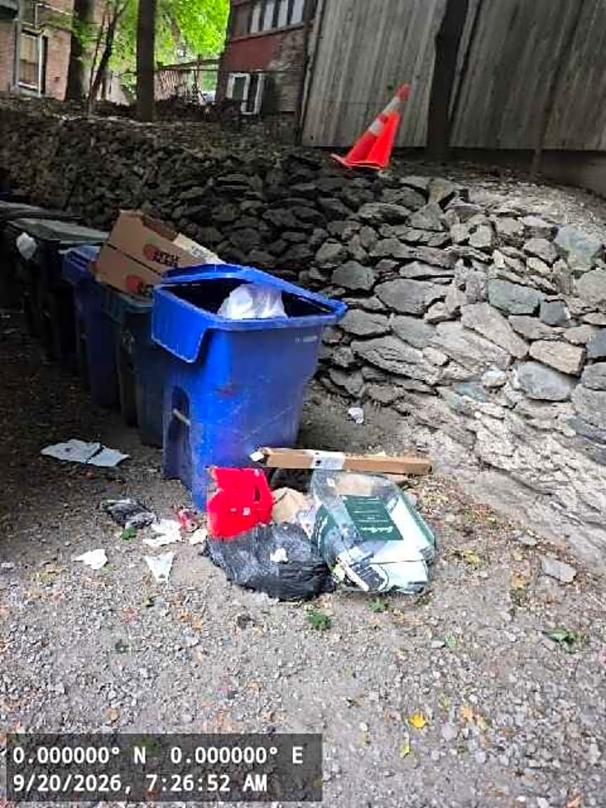 Image submitted with report