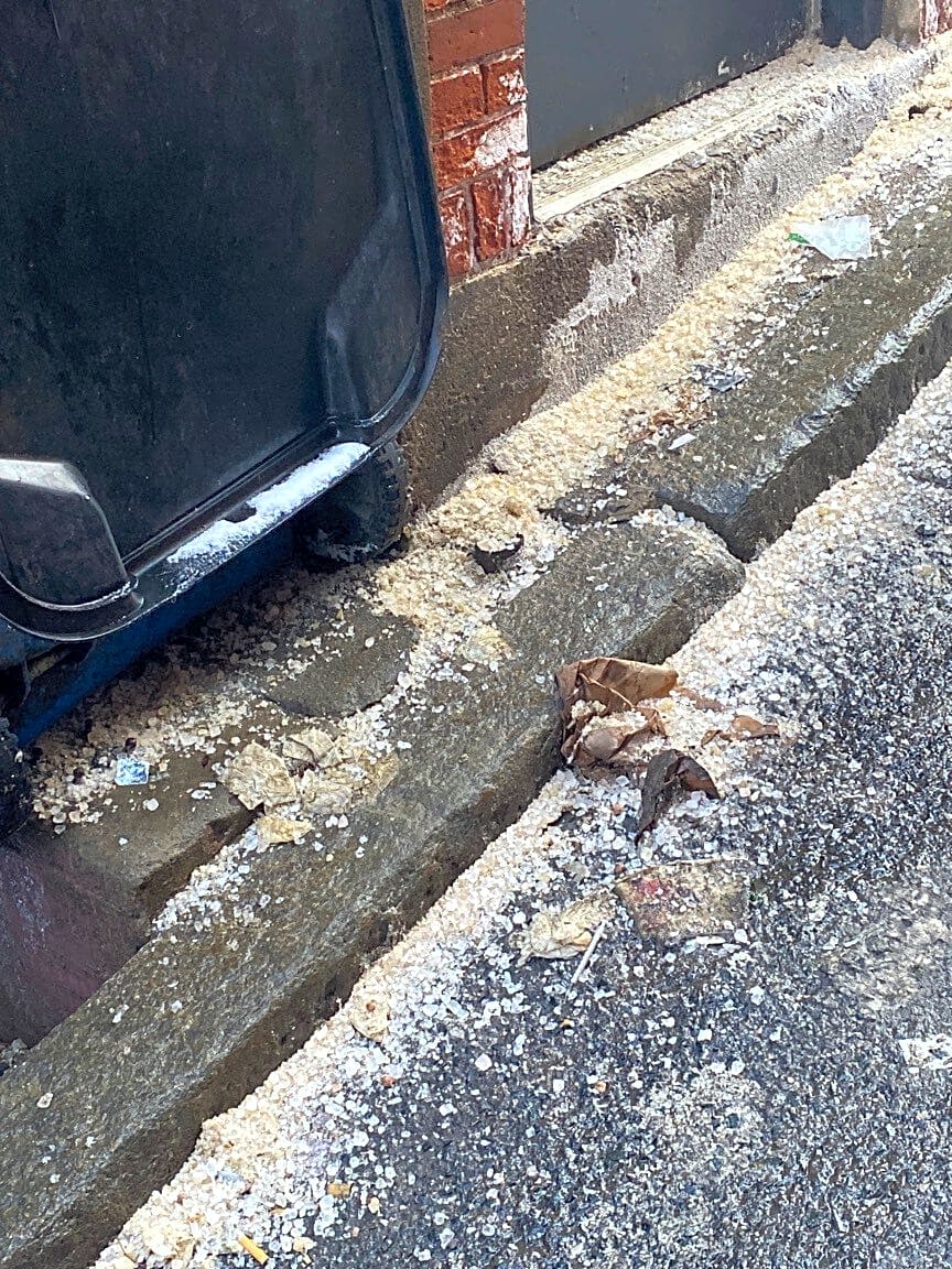 Image submitted with report